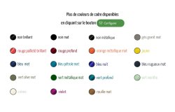 Vélo Amsterdam Air Legend Exclusive, avec 24 couleurs de cadre proposées par le fabricant Azor