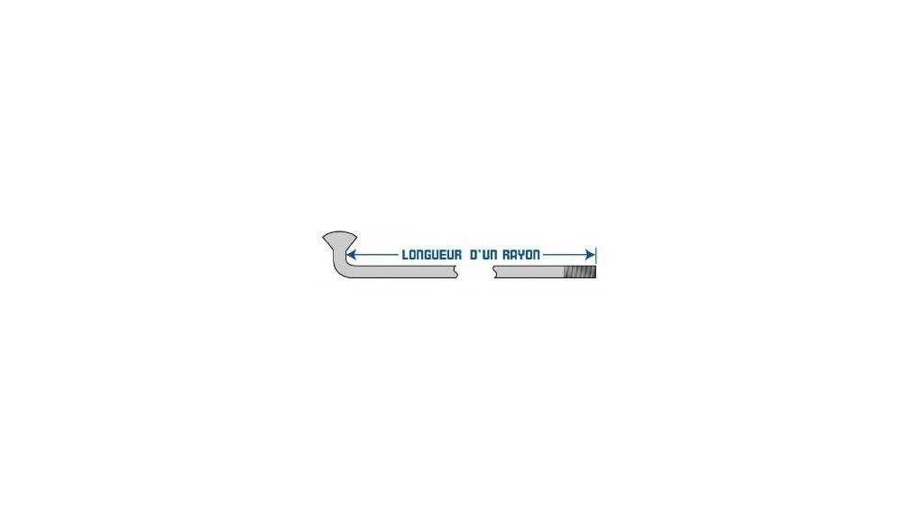 rayon 12G longueur 232 arrière Babboe Big ou Amsterdam Air Smiley   électrique