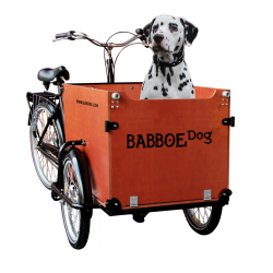 Babboe Big triporteur nexus 7