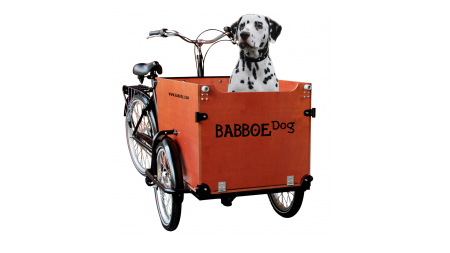 Babboe Big triporteur nexus 7