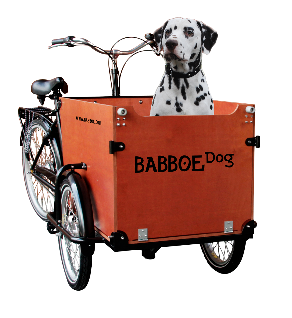 Babboe Big triporteur nexus 7