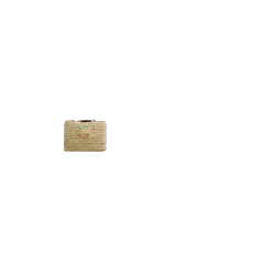 sacoche-velo-gigogne-feuille-palmier