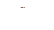 Selle Brooks Swallow B15 miel