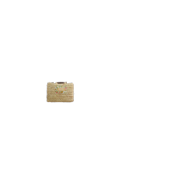 sacoche-velo-gigogne-feuille-palmier