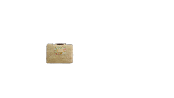 sacoche-velo-gigogne-feuille-palmier