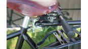 Remorque de vélo avec caisse isotherme 180 litres