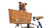 panier-chien-velo-porte-bagage