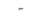 Selle Brooks Flyer pré-rodée
