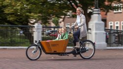 Biporteur Babboe City avec boite Nexus 7 vitesses