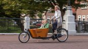Biporteur Babboe City avec boite Nexus 7 vitesses