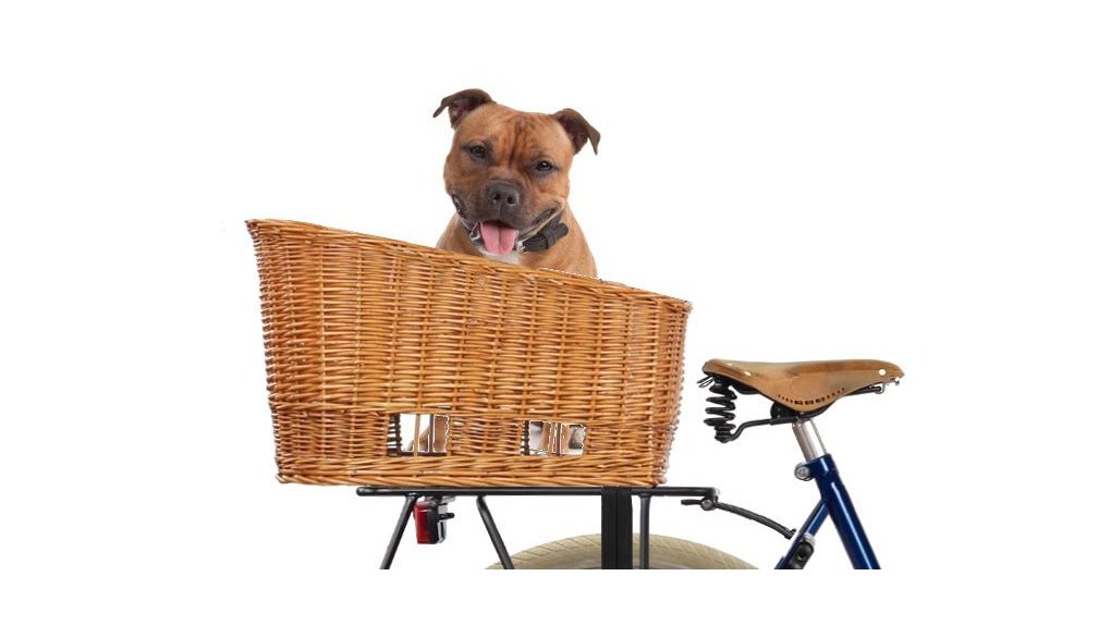 Panier de vélo arrière pour chien, sans grille (50 cm)