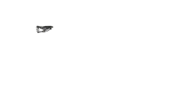 Selle Brooks B66 noire