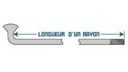 Rayon + tête de rayon pour...