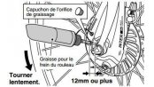Graisse pour frein roller Shimano (100 g)