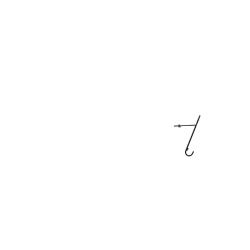Porte-sacoche avant Tubus Tara noir