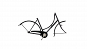 Oma Classic, le vélo hollandais classique et idéal pour vos trajets quotidiens ! 