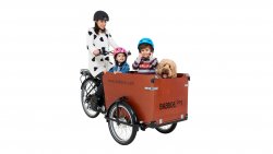 Triporteur électrique pour transporter son chien