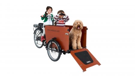 Triporteur électrique pour transporter son chien