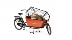 Banc chien pour biporteur...
