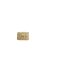 sacoche-velo-gigogne-feuille-palmier