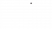 Sonnette Ding Dong noire.