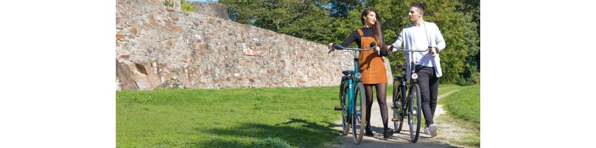 VELO HOLLANDAIS | + de 100 modèles personnalisables
