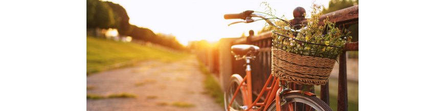 Panier pour vélo