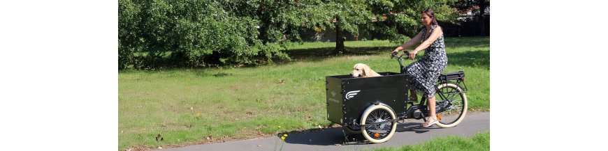 Triporteur pour chien, avec ou sans assistance électrique