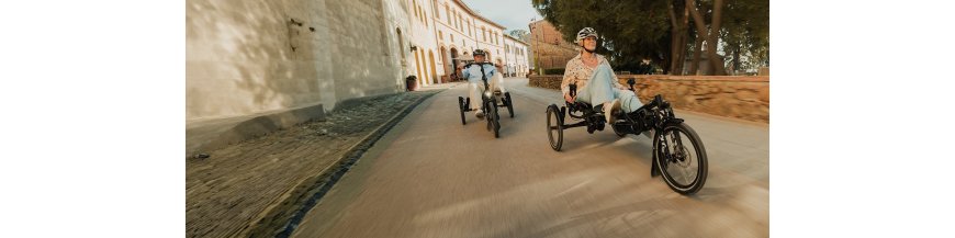 Vélos Hase Bikes adaptés au handicap | Tricycles PMR - Amsterdam Air