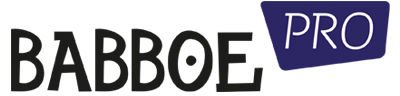 Babboe Pro